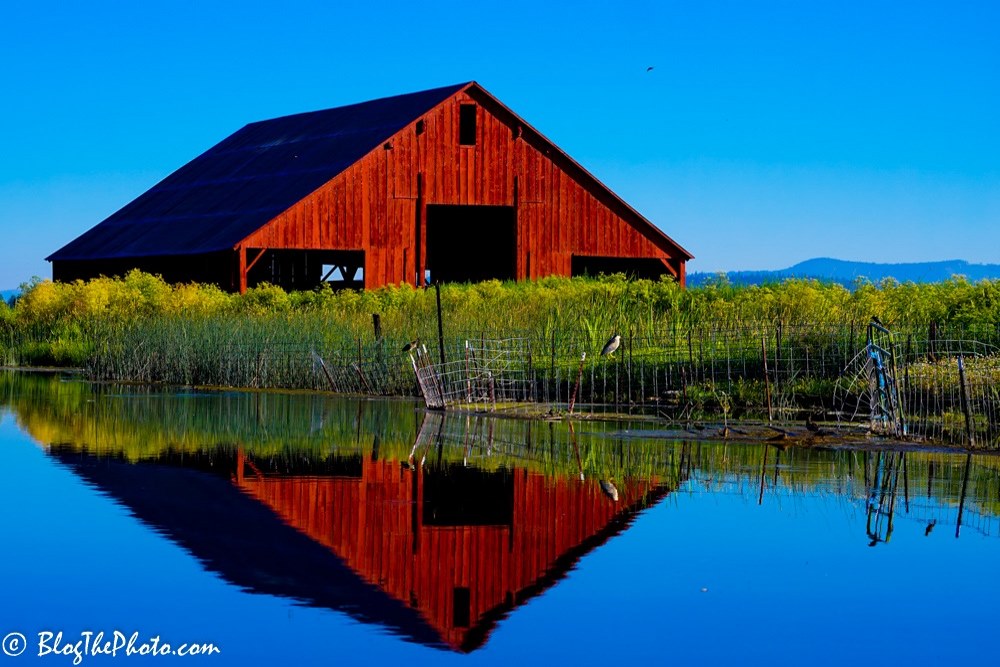 Reflection of a barn